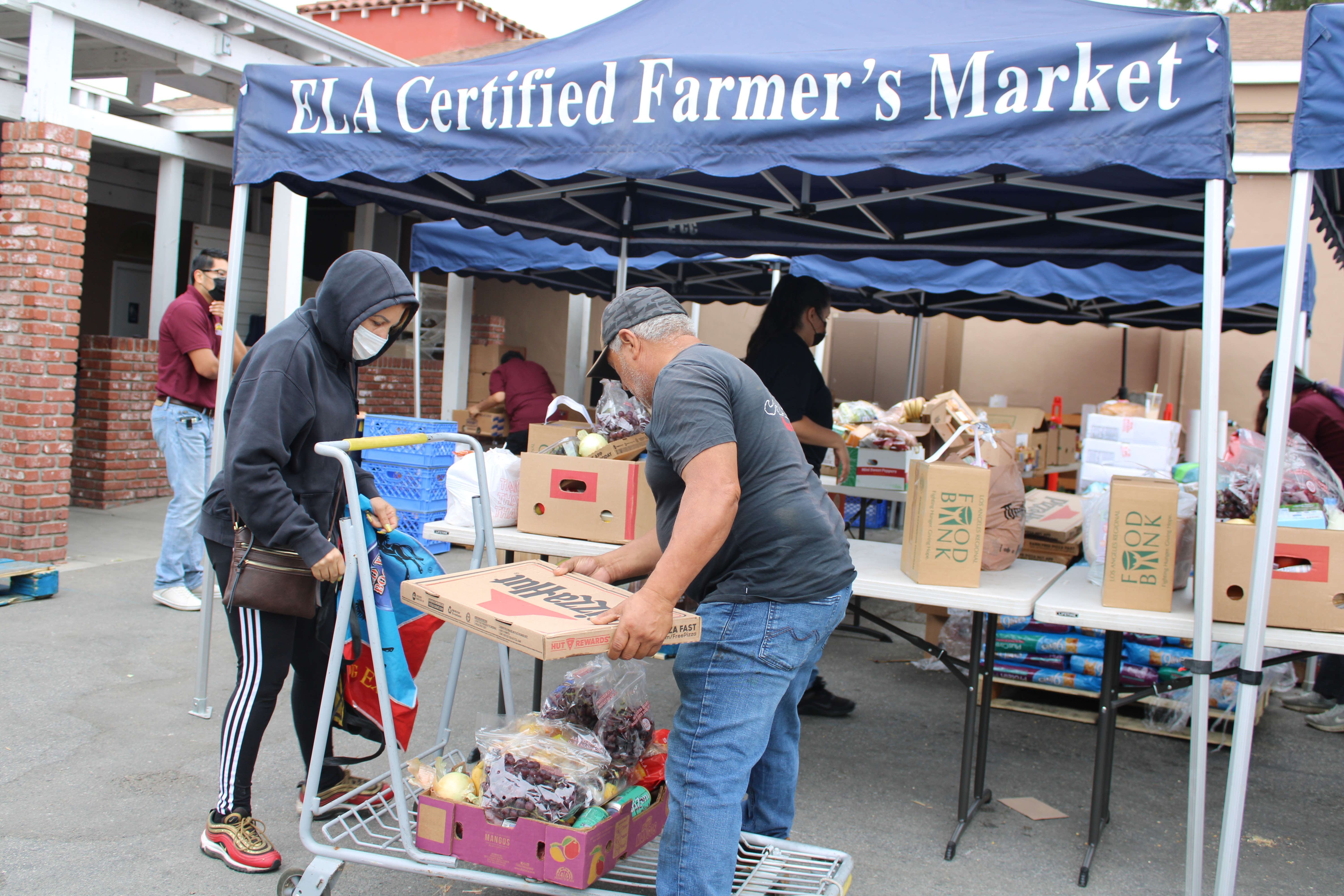 Food Distribution Day